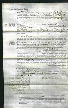 Court of Common Pleas - Maria Ridgway-Original Ancestry