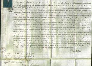 Court of Common Pleas - Mary Ann Young-Original Ancestry