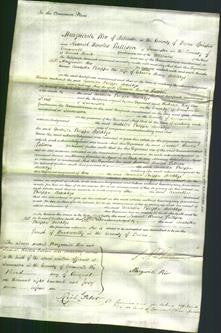 Court of Common Pleas - Arabella Philippa Hotchkys-Original Ancestry