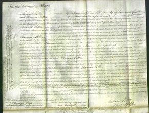 Court of Common Pleas - Louisa Caroline Morcom-Original Ancestry