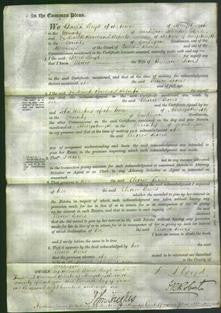 Court of Common Pleas - Elinor Lewis-Original Ancestry