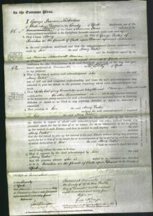 Court of Common Pleas - Mary Foster-Original Ancestry