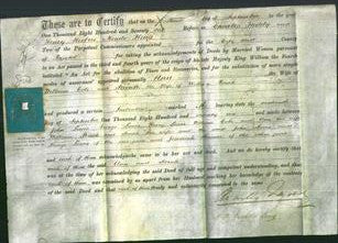 Deed by Married Women - Ann Cole, Sarah Pocock-Original Ancestry