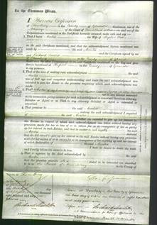 Court of Common Pleas - Amelia Weston-Original Ancestry