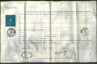 Appointment of Special Commissioners - David Dudley Field, Dudley Field and Robert E. Deyo-Original Ancestry