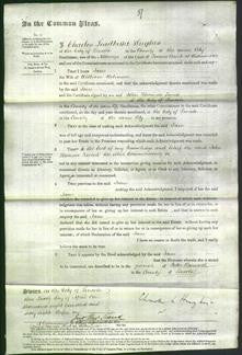 Court of Common Pleas - Jane Robinson-Original Ancestry