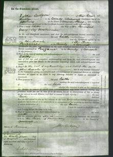 Court of Common Pleas - Edith Woollcombe-Original Ancestry