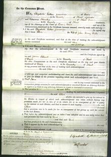 Court of Common Pleas - Ellen Tuke-Original Ancestry