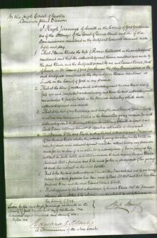 Court of Common Pleas - Rhoda Bellwood-Original Ancestry