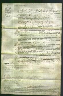 Court of Common Pleas - Eliza Kernot-Original Ancestry