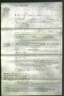 Court of Common Pleas - Elizabeth Allen-Original Ancestry