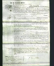 Court of Common Pleas - Mary Ann Eleanor Petrie-Original Ancestry