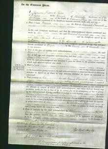 Court of Common Pleas - Maria Sharrock-Original Ancestry