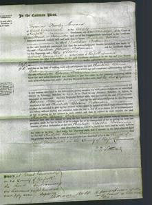 Court of Common Pleas - Charlotte Rebecca Bateman-Original Ancestry