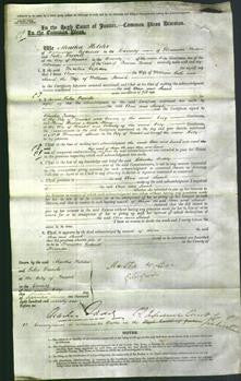 Court of Common Pleas - Ann Cole, Sarah Pocock-Original Ancestry