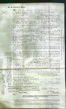 Court of Common Pleas - Elizabeth Downing-Original Ancestry