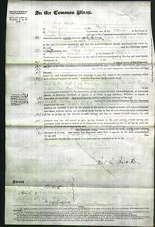 Court of Common Pleas - Dinah Birkett Holden-Original Ancestry