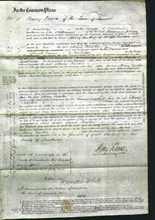 Court of Common Pleas - Mary Barker-Original Ancestry
