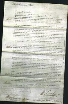 Court of Common Pleas- Ann Brooks, Charlotte Barnes, Charlotte Brooks and Hannah Anderson-Original Ancestry