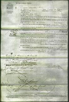 Court of Common Pleas - Lucy Ann Rodgers-Original Ancestry