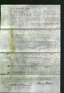 Court of Common Pleas - Martha Stead-Original Ancestry