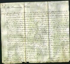 Court of Common Pleas - Mary Ann Pederick-Original Ancestry