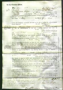 Court of Common Pleas - Mary Jervis-Original Ancestry