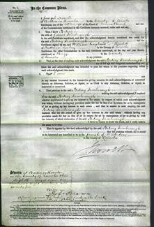 Court of Common Pleas - Betsey Scarborough-Original Ancestry