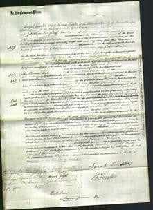 Court of Common Pleas - Jane Dobson and Joanna Murton-Original Ancestry