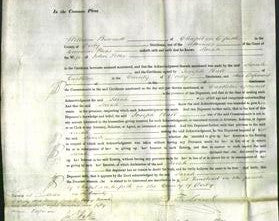 Court of Common Pleas - Sarah Potter-Original Ancestry