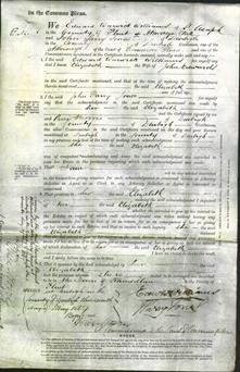 Court of Common Pleas - Elizabeth Edwards-Original Ancestry