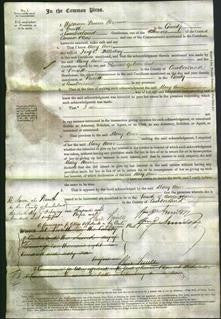Court of Common Pleas - Mary Ann Holliday-Original Ancestry