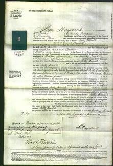 Court of Common Pleas - Betty Hindle-Original Ancestry