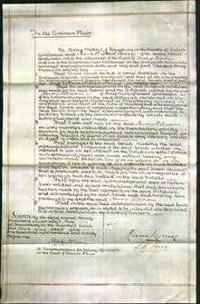 Court of Common Pleas - Sarah Harrison-Original Ancestry