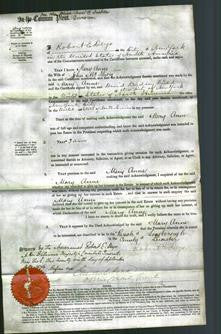 Court of Common Pleas - Mary Anne McHioy-Original Ancestry