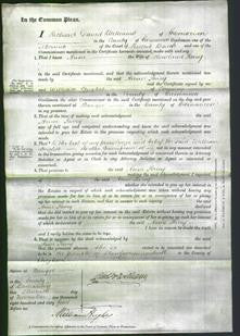 Court of Common Pleas - Anne Parry-Original Ancestry