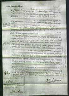 Court of Common Pleas - Sarah Ann Glover-Original Ancestry
