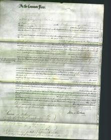 Court of Common Pleas - Jane Sadler-Original Ancestry