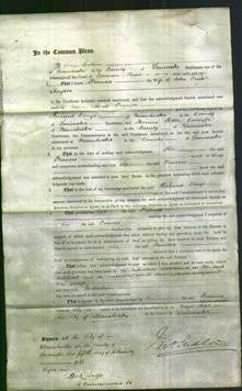 Court of Common Pleas - Frances Naylor-Original Ancestry