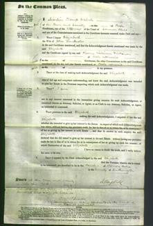 Court of Common Pleas - Elizabeth Lankester-Original Ancestry