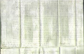 Court of Common Pleas - Alice Taylor-Original Ancestry