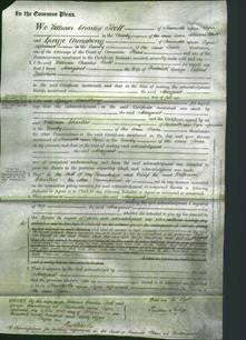 Court of Common Pleas - Margaret Willshire-Original Ancestry