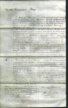 Court of Common Pleas - Amelia Burgess-Original Ancestry