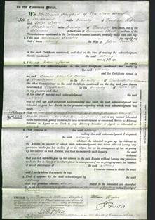 Court of Common Pleas - Mary Powell-Original Ancestry