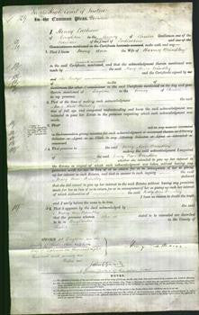 Court of Common Pleas - Mary Ann Brindley-Original Ancestry