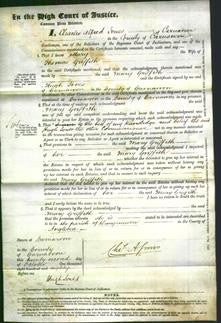 Court of Common Pleas - Mary Griffith-Original Ancestry