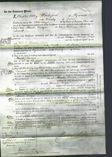 Court of Common Pleas - Maude Evelyn Triscott-Original Ancestry