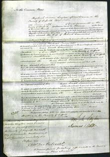 Court of Common Pleas - Sarah Simmons-Original Ancestry