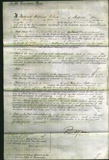 Court of Common pleas - Mary Ann Littlewood, Betsey Johnson-Original Ancestry