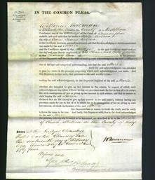 Court of Common Pleas - Maria Wilcox-Original Ancestry